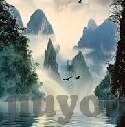 中体即时足球比分网-中体即时足球比分网，球迷的掌上赛场与足球文化的数字纽带
