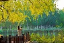 足球彩票18164比分-探秘足球彩票18164，比分背后的策略与激情碰撞