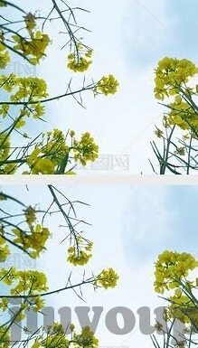 足球单双比分0-足球单双比分0，赛场风云中的特殊密码与深层启示